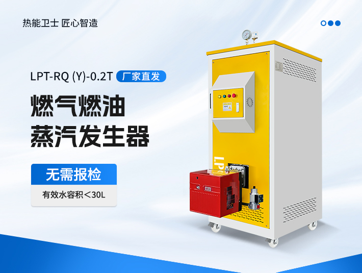 100-300公斤燃氣蒸汽發生器